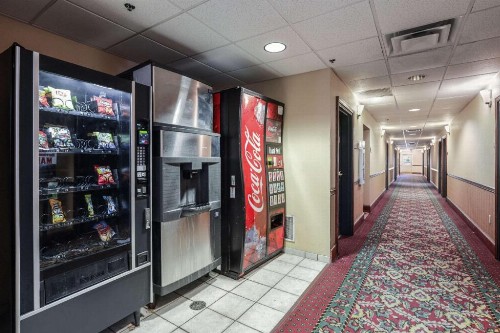 Econo Lodge Inn & Suites - Marianna - image 15