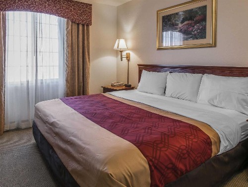 Econo Lodge Inn & Suites - Marianna - image 43