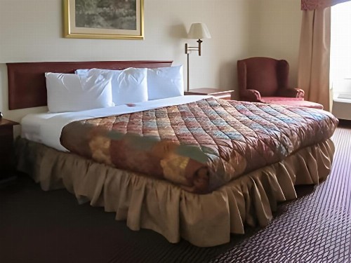 Econo Lodge Inn & Suites - Marianna - image 46