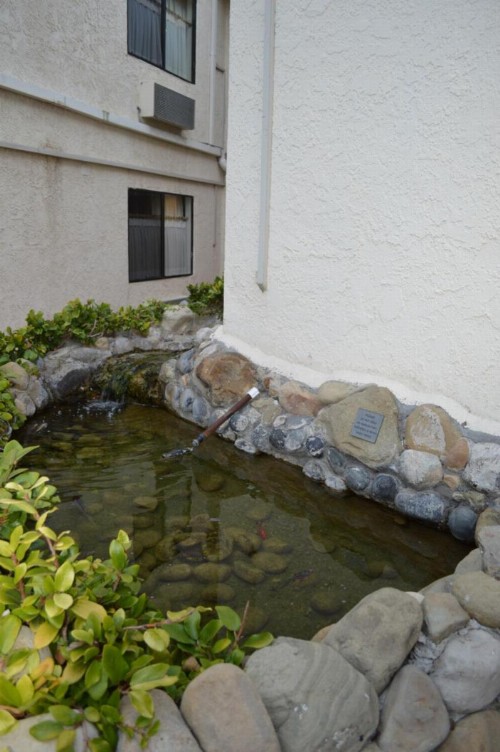 Jolly Roger Hotel - image 17