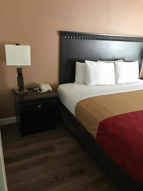 Rodeway Inn & Suites - image 10