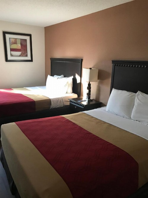 Rodeway Inn & Suites - image 6