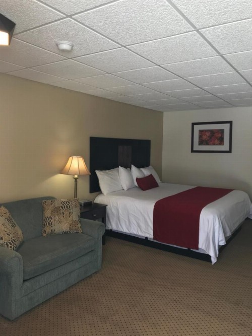 Brentwood Motor Inn - image 12