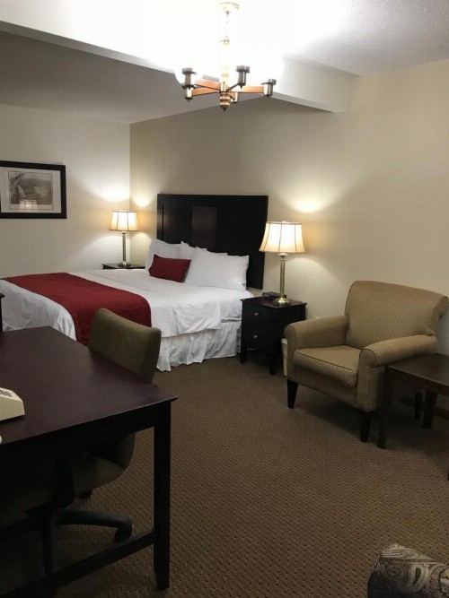 Brentwood Motor Inn - image 13