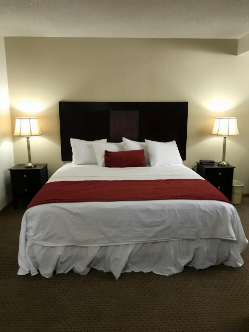 Brentwood Motor Inn - image 14