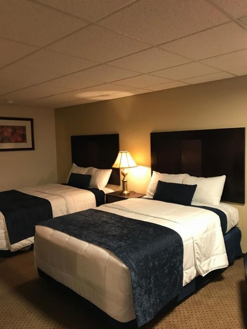 Brentwood Motor Inn - image 19