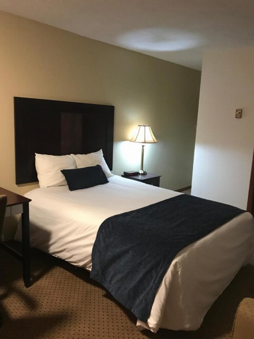 Brentwood Motor Inn - image 30