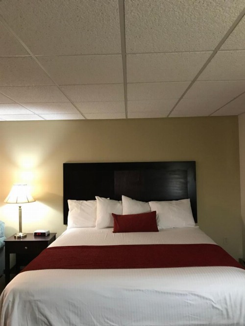 Brentwood Motor Inn - image 9