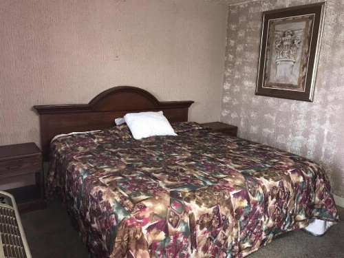 Flamingo Motel Marshalltown - image 2