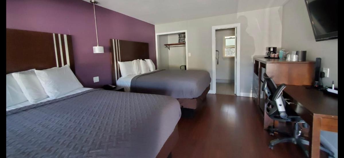Muir Lodge Motel - image 6