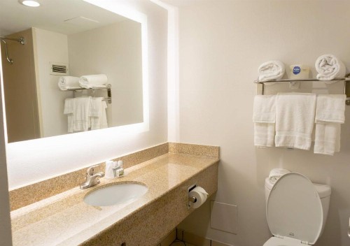 Holiday Inn Express St. Louis Airport - Riverport - image 20