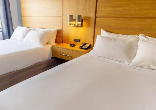 Holiday Inn Express St. Louis Airport - Riverport - image 32