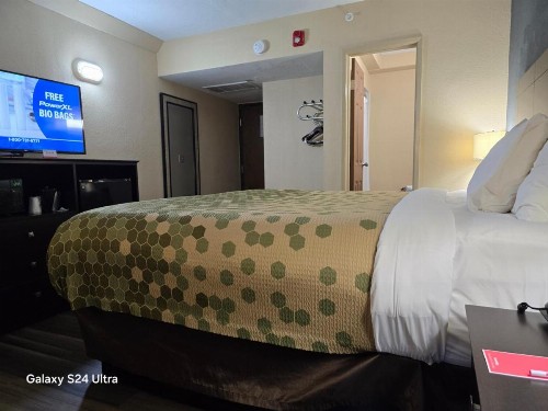 Econo Lodge Inn & Suites - image 7