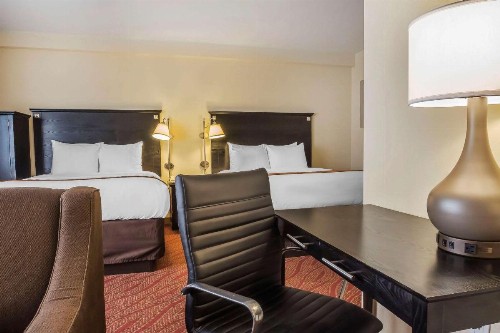 Comfort Inn & Suites LaGuardia Airport - image 10