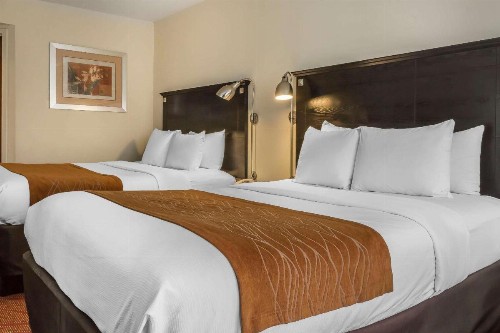 Comfort Inn & Suites LaGuardia Airport - image 11