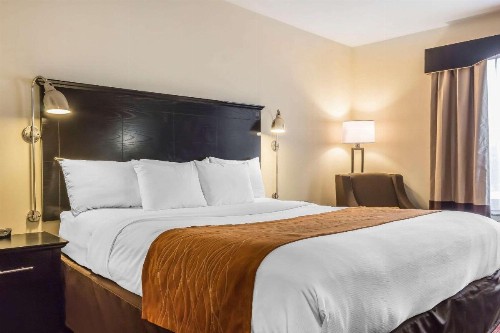 Comfort Inn & Suites LaGuardia Airport - image 13