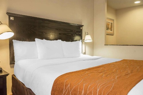 Comfort Inn & Suites LaGuardia Airport - image 24