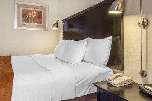 Comfort Inn & Suites LaGuardia Airport - image 3