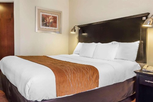 Comfort Inn & Suites LaGuardia Airport - image 5