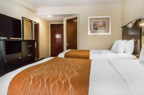 Comfort Inn & Suites LaGuardia Airport - image 6