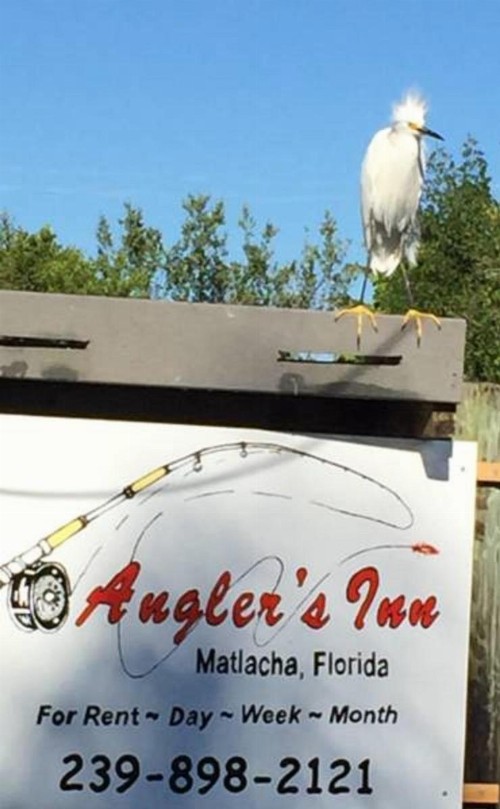 Angler's Inn - image 30