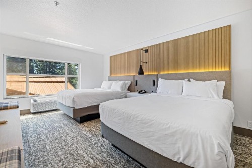 Holiday Inn Express Hotel & Suites McCall-The Hunt Lodge an IHG Hotel - image 22