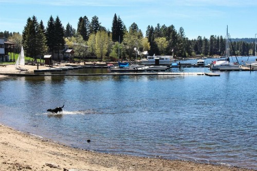 Black Dog Cabin - image 10