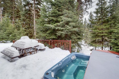Majestic Mountain Lodge - image 9
