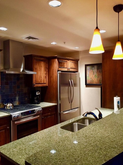 Alpine Village Suite 213 - image 2