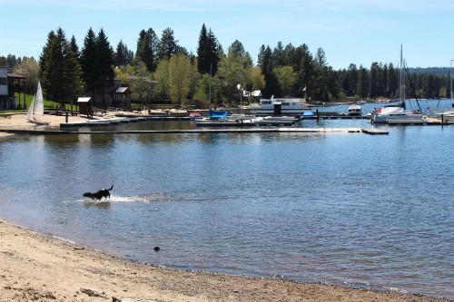 Rustic Retreat - image 5