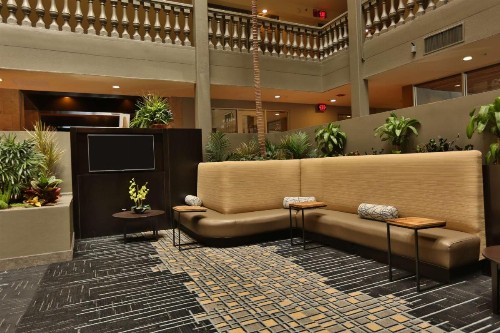 Doubletree by Hilton McAllen - image 10