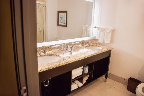 Doubletree by Hilton McAllen - image 22