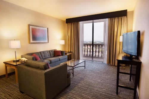 Doubletree by Hilton McAllen - image 25