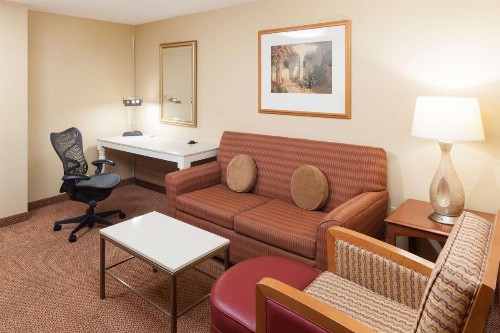 Hilton Garden Inn McAllen Airport - image 36