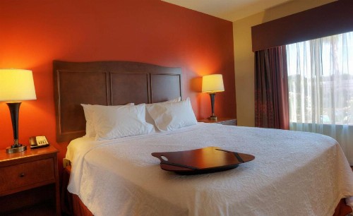 Hampton Inn & Suites McAllen - image 13