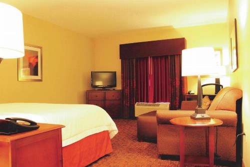 Hampton Inn & Suites McAllen - image 4
