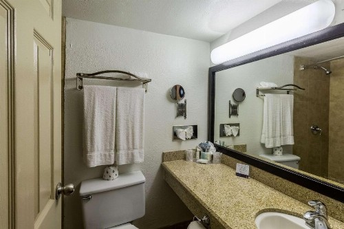 Clarion Inn near McAllen Airport - image 13