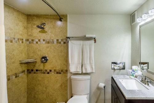Clarion Inn near McAllen Airport - image 15