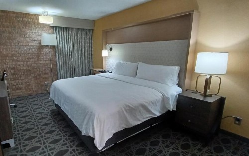 Holiday Inn - McAllen - Medical Center Area an IHG Hotel - image 21