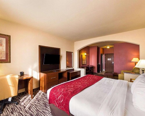Comfort Suites At Plaza Mall - image 16