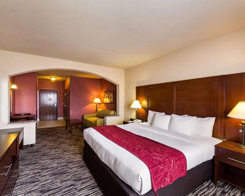Comfort Suites At Plaza Mall - image 2