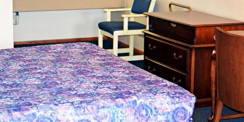 Aloha Inn - image 7
