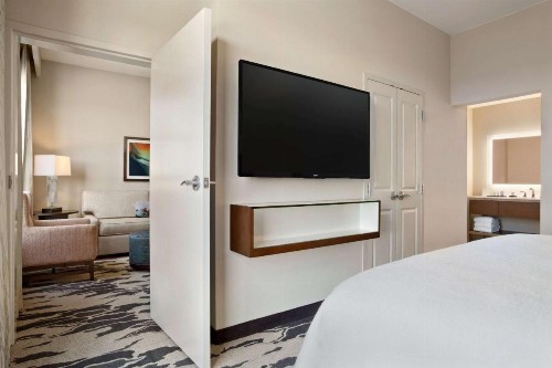 Embassy Suites by Hilton McAllen Convention Center - image 29