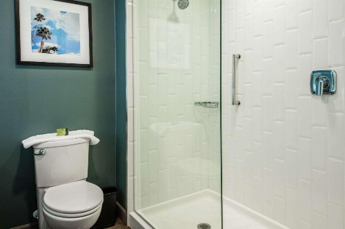 Cambria Hotel McAllen Convention Center - image 50