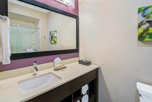 La Quinta by Wyndham McAllen La Plaza Mall - image 21