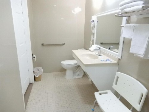 Fiesta Inn - image 33