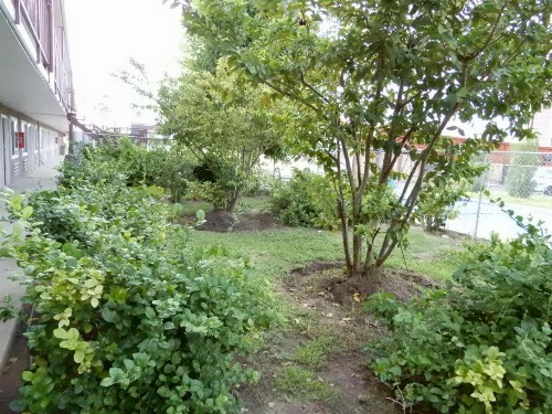 Fiesta Inn - image 8