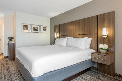 Holiday Inn Melbourne - Viera Conference Center an IHG Hotel - image 12