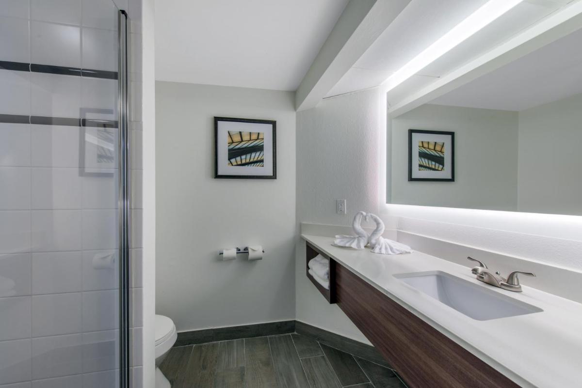 Holiday Inn Melbourne - Viera Conference Center an IHG Hotel - image 5