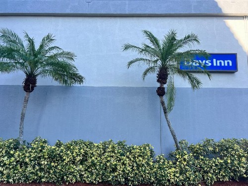 Days Inn by Wyndham Melbourne - image 3